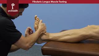 Fibularis Longus Muscle Test Palp Dr Vizniak Muscle Manual [upl. by Tuneberg862]