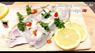 Hareng mariné de Norvège 🇳🇴 🐟  ASMR sound 🎧 [upl. by Immas]