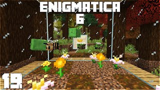 Enigmatica 6  E19  Starting Resourceful Bees [upl. by Farro]