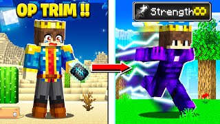 Minecraft But You Can CRAFT SUPER OP TRIMS [upl. by Ecniv]