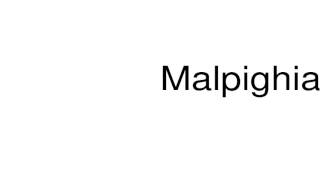 How to pronounce Malpighian [upl. by Sammons]