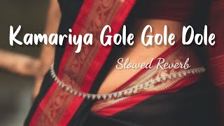 Kamariya Dole slowed reverb   kamriya gole gole dole Raj ji lofi song [upl. by Trisha]