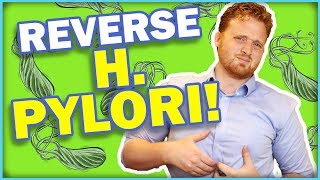 H Pylori Treatment Top 4 Things To REVERSE H PYLORI [upl. by Eniledgam]