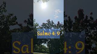 Salmo 4 catholic shorts [upl. by Basil]