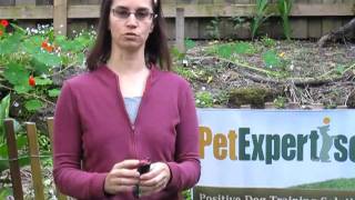 SprayShield Dog Deterrent Spray Demo by Pet Expertise [upl. by Frank]