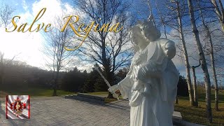 Salve Regina  Heralds of the Gospel [upl. by Syhr]