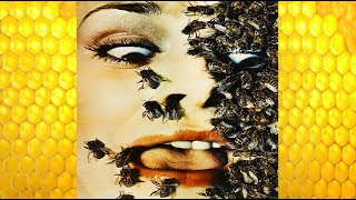 Invasión La pesadilla de las abejas asesinas Película en Español 1995 [upl. by Dennison404]