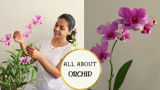 How to care for an Orchid Plant Indoors  Easy Orchid Care Tips for Beginners  Garden Vibes [upl. by Ettezoj295]