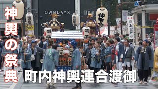 池袋7町神輿連合渡御 ふくろ祭り神輿の祭典2024年 [upl. by Zetnauq]