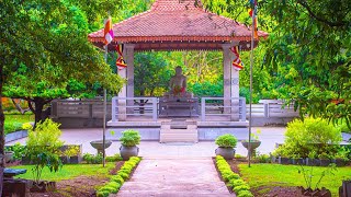 University of Sri Jayewardenepura Beautiful Image Gallery 4K Resolution  VideoFly Creations [upl. by Ocsicnarf]