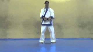 3º KICHO SAM BO TAEKWONDO MOO DUK KWAN CDAMCHR [upl. by Einra]