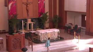 St Petronille LiveStream  8AM Mass Saturday May 18 2024 [upl. by Eitak227]