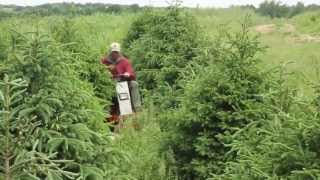 Tree Farm Mowing with Ventrac [upl. by Oratnek]