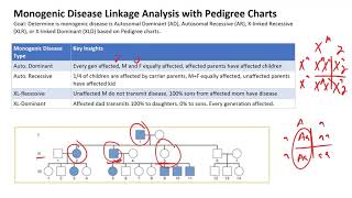 Monogenic Disease Linkage Analysis with Pedigree Charts [upl. by Byrne]