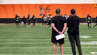 Bengals D breaks up Joe Burrow passes Wednesday at minicamp [upl. by Prudence643]