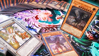 NEW Updated Chaos Lightsworn Deck Profile  Budget Options [upl. by Anjanette]