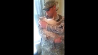 Cat Welcomes Home Soldier awesome [upl. by Etsyrk837]