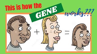 Heredity Inheritance and Variation Grade 9 Genetic Terms [upl. by Annaeerb]