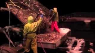 Bering Sea Opilio Crab Fishing [upl. by Selimah961]