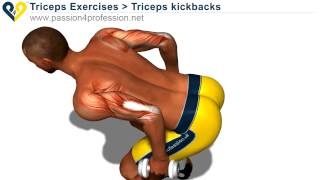 Ejercicios con pesas para brazos triceps [upl. by Aneloj]