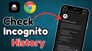 How To See Incognito History on chromeincognito history chrome history [upl. by Adorne340]