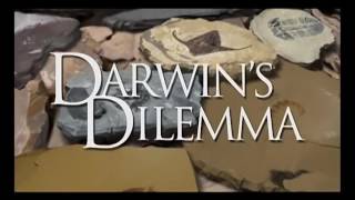 Why did the Cambrian explosion trouble Darwin [upl. by Christianson]