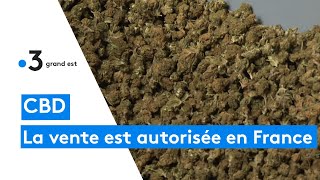 La vente de CBD finalement autorisée en France [upl. by Akienom]