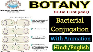 Genetic Recombination in Bacteria  Bacterial Conjunction  BSC first year Botany 1st paper [upl. by Audun]