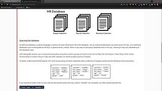 TryHackMe 314 NoSQL injection Basics [upl. by Nuawad616]