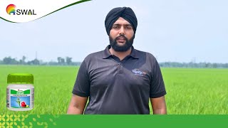 SWAL Feego  Amritpal Singh  Testimonial [upl. by Hurd]