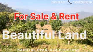 Beautiful Land Plot Available For Sale amp Rent Near By Nainital Almora Ranikhet Jageshwar Mukteshwar [upl. by Ravel]