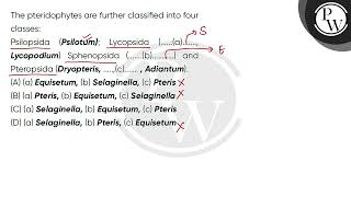 The pteridophytes are further classified into four classes \nPsilopsida Psilotum Lycopsida [upl. by Wilonah]