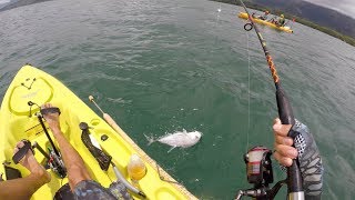 Action packed day kayak fishing for Papio Trevally off Oahu [upl. by Ayr]