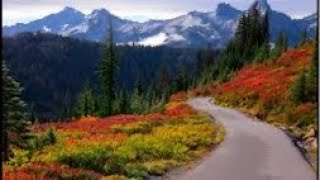 Scenic Drive on the eastern side of the Seattle area of Washington Fall trees looking beautiful [upl. by Eziechiele]