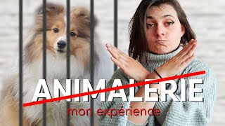 ADOPTER UN CHIEN EN ANIMALERIE  Mon expérience [upl. by Saree10]