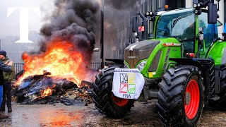 LIVE Farmers clash with police at major protest in Brussels [upl. by Fillender]