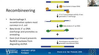 34 Recombineering  Genome Engineering Tools  Lecture 16  Metabolic Engineering  SP20 [upl. by Utter]