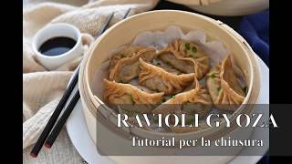 Gyoza ravioli a vapore  Tutorial della chiusura [upl. by Erb]