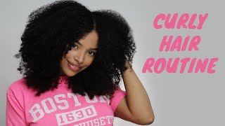 Curly Hair Routine 3c4a [upl. by Donough]