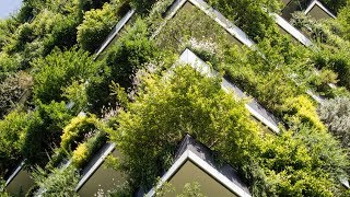 Los Edificios Verdes  Bosco Verticale Ciudad De Milán Italia [upl. by Faso]