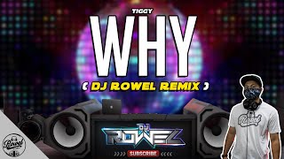 WHY  Tiggy Dj Rowel Remix  90s Disco Hits  Philippines Party Mix [upl. by Aenej]