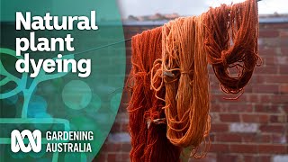 The secret spectrum of plantbased dyeing  Inspired by nature  Gardening Australia [upl. by Ulberto]