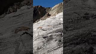 The ascend of the magherrita glaciers Now preparing to fix crambones onto the hiking shoes and rope [upl. by Treble942]