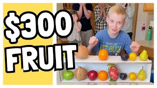 Ultimate Fruit Matching Challenge [upl. by Togram]