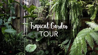 Tropical Garden Tour with Exotic Tropical Plants with plant names [upl. by Monteith195]