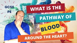 GCSE PE What is the pathway of blood around the heart [upl. by Suivart]