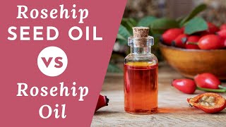 Difference Between Rosehip and Rosehip Seed Oil What You Should Know [upl. by Merlina]