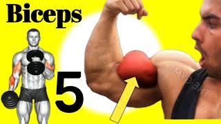 Best 5 Bicep Exercises For Bigger  Bicep workout At Gym  My Hero Gym [upl. by Anileuqcaj]