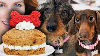 ¡HAZ UN PASTEL PARA TUS PERRITOS MILKA CUMPLE AÑOS Y LO CELEBRAMOS  DACOSTAS BAKERY [upl. by Erual286]