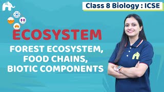 Ecosystem Class 8 ICSE Biology Chapter 4  Selina  Forest Food Chains Biotic Components 1 [upl. by Emmaline324]